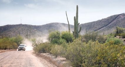 Rescatan a dos niñas migrantes, de 4 y 6 años, abandonadas en una zona pantanosa de Arizona