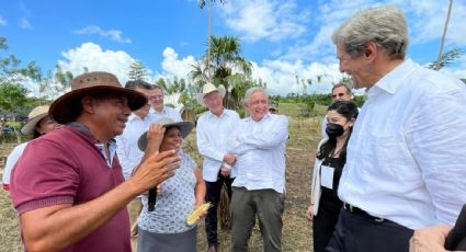 EU, abierto a ampliar Sembrando Vida a Centroamérica, dice AMLO; "es una opción para no apostar por la violación de derechos”, afirma