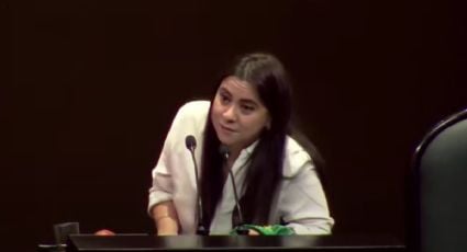 “El machismo asesina cada dos horas a una mujer en este país y el feminismo no mata a nadie”, dice Olimpia Coral frente a diputados en el 25N