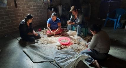 Van de la Montaña de Guerrero a los campos de Sinaloa: cientos de familias migran para escapar del abandono y la pobreza