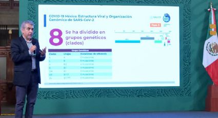 En México se han detectado 5 variantes de la Covid: InDre