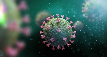 Brasil detecta una nueva variante de Covid-19; es similar a la sudafricana