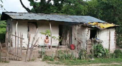 Cincuenta millones de mujeres han caído en la pobreza por crisis post Covid: ONU