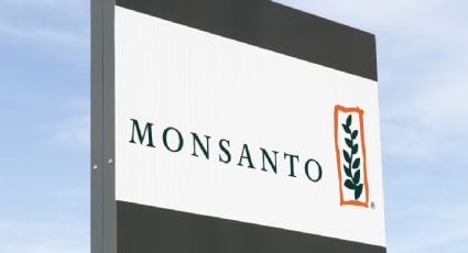 Juez niega a Monsanto suspensión definitiva sobre prohibición de glifosato