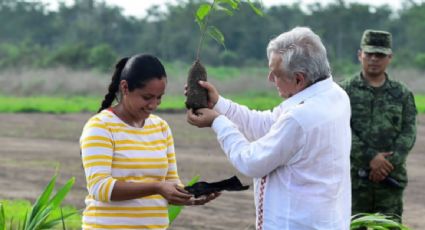 Coparmex denuncia inconsistencias ambientales en programa Sembrando Vida