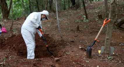 Servidores públicos y el crimen organizado son responsables del incremento de desapariciones forzadas en México: comité de la ONU