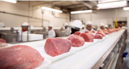 Brasil pide a EU excluir el café y las carnes del arancel del 50%; advierte impacto en precios e inflación
