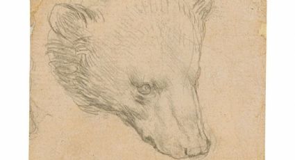 Exhiben en Londres boceto 'Cabeza de Oso' de Da Vinci antes de ser subastado