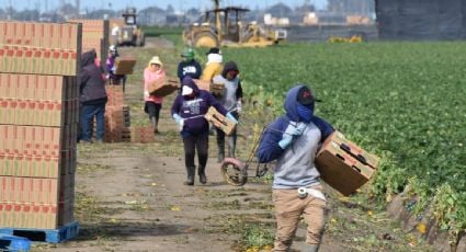 Más de 80 alcaldes en EU urgen a incluir la ciudadanía para migrantes con trabajos esenciales en plan de gasto