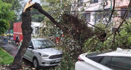 Fuertes lluvias y granizada en la CDMX dejan encharcamientos y árboles caídos