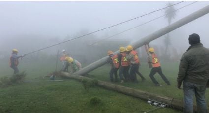 CFE anuncia restablecimiento de 97% en el suministro eléctrico en Hidalgo, Puebla y Veracruz tras paso de "Grace"