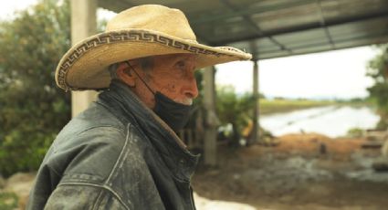 Campesinos, los otros afectados por las inundaciones en Hidalgo