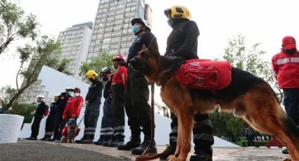 Realizan simulacro nacional de sismo en el aniversario del terremoto del 19S