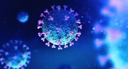 Estudio concluye que la exposición a otros coronavirus protege ante la Covid-19