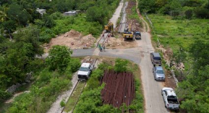 Aumenta a casi el doble el presupuesto para el Tren Maya en el PEF 2022; al INE le restan más del 10%