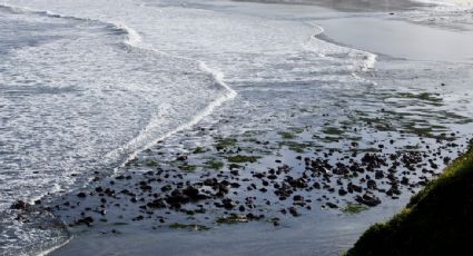 Países latinoamericanos activan alerta en costas ante riesgo por erupción volcánica en Tonga