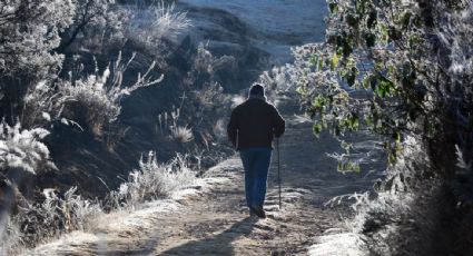 Conagua prevé temperaturas de hasta -10 ºC en zonas montañosas de Chihuahua, Durango, Coahuila y Nuevo León