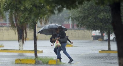 "Francine" ocasionará lluvia, oleaje y trombas en Tamaulipas; en el resto del país habrá lluvias y altas temperaturas