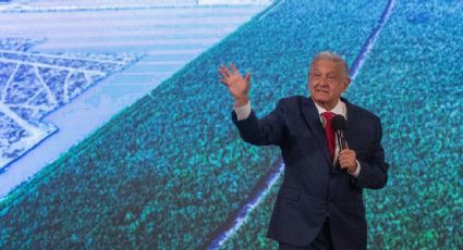 AMLO reporta avance del 20% en la construcción del Tren Maya: "Parece poco, pero no son tacos de cochinita pibil"