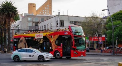 Beat se despide de México: no habrá más Teslas para transporte por app en la CDMX