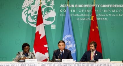 Países acuerdan proteger para el 2030 el 30% de la superficie del planeta para preservar la biodiversidad