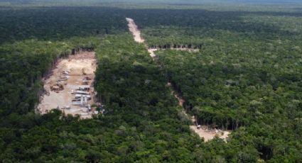 UNAM advierte que el nuevo aeropuerto de Tulum impactará en el medio ambiente y afectará a las poblaciones mayas