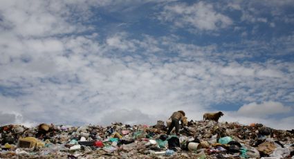 Aumentan un 164% las agresiones a defensores ambientales en 2021; es el año más violento, revela CEMDA