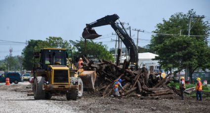 Tribunal retira las suspensiones en contra de la construcción de los tramos 1 al 3 del Tren Maya, acusan activistas