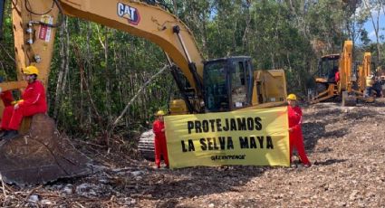 Asociaciones como Greenpeace viven de administrar la destrucción del medio ambiente, acusa AMLO ante protestas contra el Tren Maya