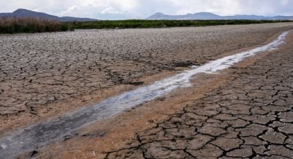 California, en emergencia por escasez de agua: imponen fuertes multas a quien desperdicie