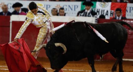 Morena en el Congreso de la CDMX propone someter a consulta pública prohibir las corridas de toros