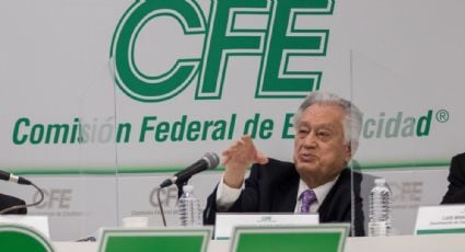 CFE, la gran empresa de generación de pérdidas