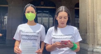 Ximena, de 12 años, ingresó al DIF de la CDMX hace 10 meses y desde entonces está desaparecida, denuncia Marea Verde