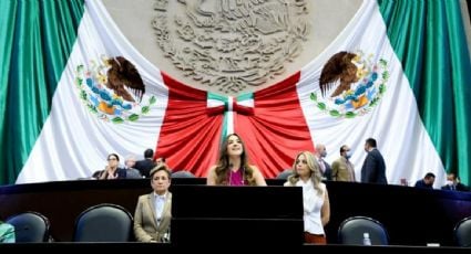 “Que el odio antipriista de la ultraderecha no termine con la alianza Va por México”, dice el PRI