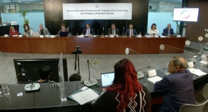 Comisión del Senado aprueba el dictamen que aumenta a 12 días las vacaciones en el primer año de trabajo