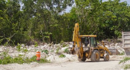 Juez revierte la suspensión de las obras del Tramo 5 norte del Tren Maya