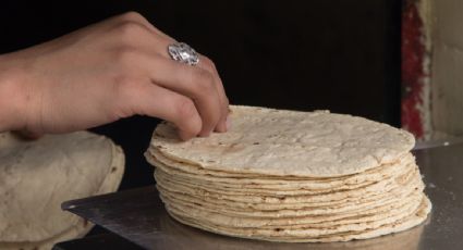 Gobierno impone arancel del 50% a la exportación del maíz blanco para controlar el precio de la tortilla