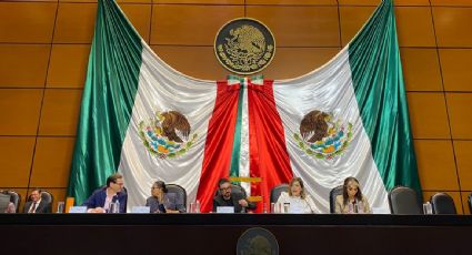 Reclaman en Diputados al titular de la Sedatu por dar contratos a empresa de los amigos de Andy