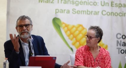 Decreto que restringe el uso del maíz transgénico en México no brinda seguridad jurídica a los productores, acusan empresarios