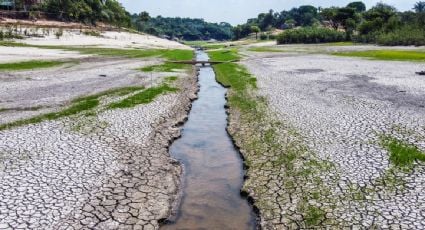 El mundo registró en los pasados 12 meses las temperaturas más altas en 125 mil años: estudio