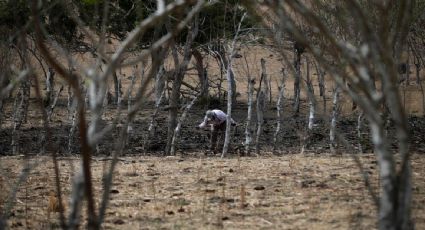 Nuevo pronóstico confirma que se espera un fenómeno de El Niño muy intenso para 2026: The Washington Post
