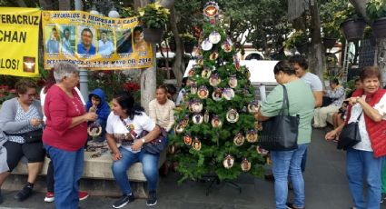 La fiscalía de Veracruz carece de la infraestructura para identificar los cuerpos hallados en fosas clandestinas: Colectivo Solecito