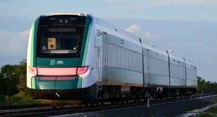 Gobierno de AMLO expropia 260 hectáreas más para la construcción del Tren Maya en Yucatán y Campeche