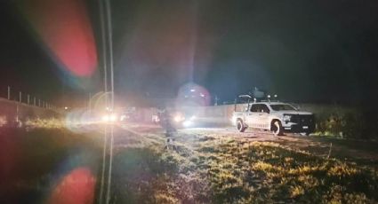 Multihomicidio en Guanajuato: hallan los cuerpos de cinco jóvenes asesinados en Celaya