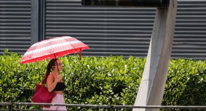 Más de 2 mil 800 millones de personas enfrentarían consecuencias por las olas de calor en 2090, advierte la OIM