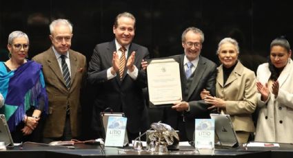 Senado ratifica al actor Alejandro Bichir como embajador de México en Panamá