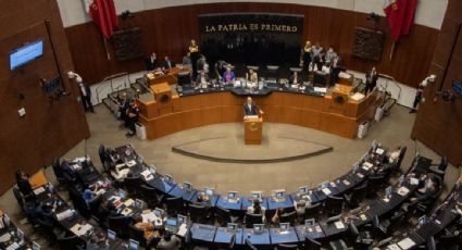 PAN en el Senado alista iniciativa para que universidades puedan cancelar títulos profesionales en caso de plagio