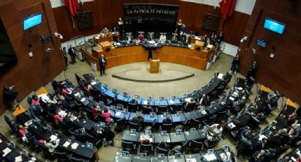 El CCE pide considerar a todos los grupos parlamentarios del Senado en discusión del plan B electoral