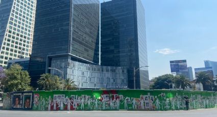 Retiran el ahuehuete de glorieta en Paseo de la Reforma en la CDMX; es trasladado a un vivero en Xochimilco