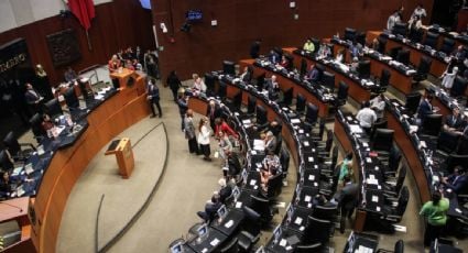 Senado abroga la Ley sobre Delitos de Imprenta que sancionaba las injurias contra el presidente